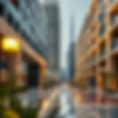 Magnificent Comprehensive Insights into Affordable Rentals in Dubai