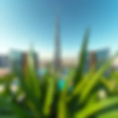 Magnificent Exploring Bloom Tower B: A Comprehensive Guide to Dubai's Architectural Marvel Magnificent Exploring Bloom Tower B: A Comprehensive Guide to Dubai's Architectural Marvel