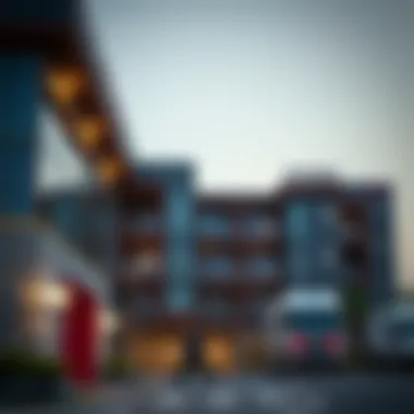 A Comprehensive Guide to Removals Companies in Dubai Summary