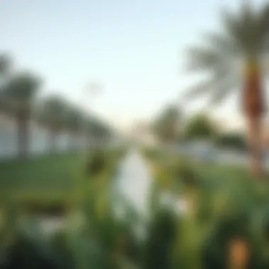 Community park in Al Quoz 4 emphasizing quality of life