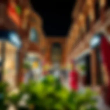 Community Atmosphere of Al Raha Gardens Plaza Vibrant community atmosphere at Al Raha Gardens Plaza capturing the essence of the neighborhood