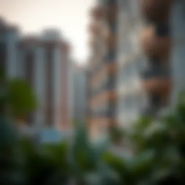 Notable Assessing the Viability of Renting a 2 BHK Flat in Dubai