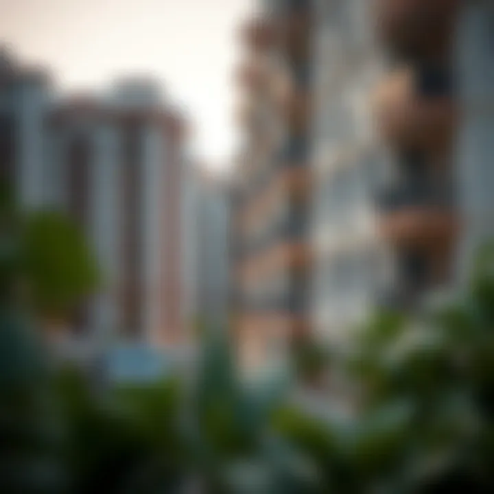 Notable Assessing the Viability of Renting a 2 BHK Flat in Dubai