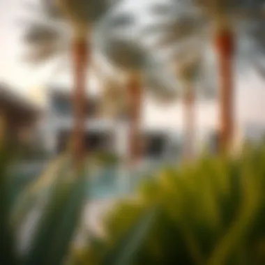 Desert Palm: A Jewel in Dubai's Real Estate Crown Summary
