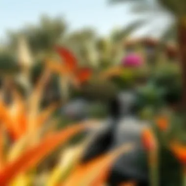 Ecological Features Ecological features showcasing plant diversity