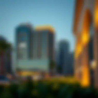 Investment potential of المجمع زايد مزهر