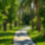 Tranquil Walking Paths Surrounded by Nature Lush greenery and walking paths in Al Twar Park