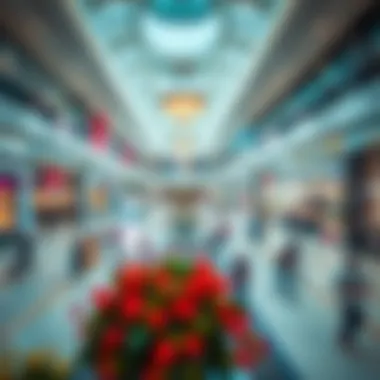 Interior layout of Aster Ansar Mall highlighting retail spaces