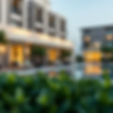 Diverse living options available in Damac Heights