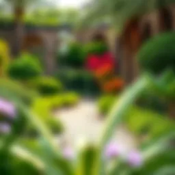 Lush greenery and vibrant gardens in Discovery Gardens