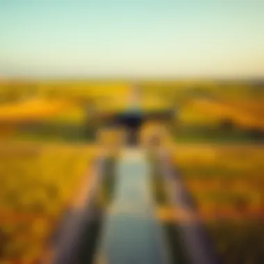 Prime Locations for Farm Rentals in Dubai Drone view showcasing prime rental locations