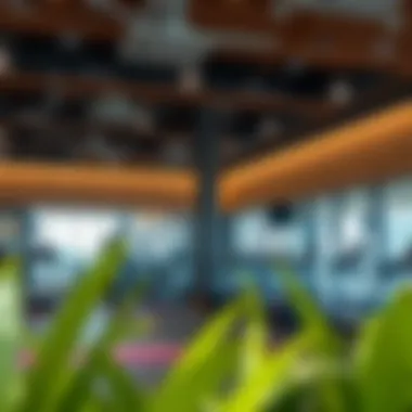 Exploring Fitness First in Dubai Marina Introduction