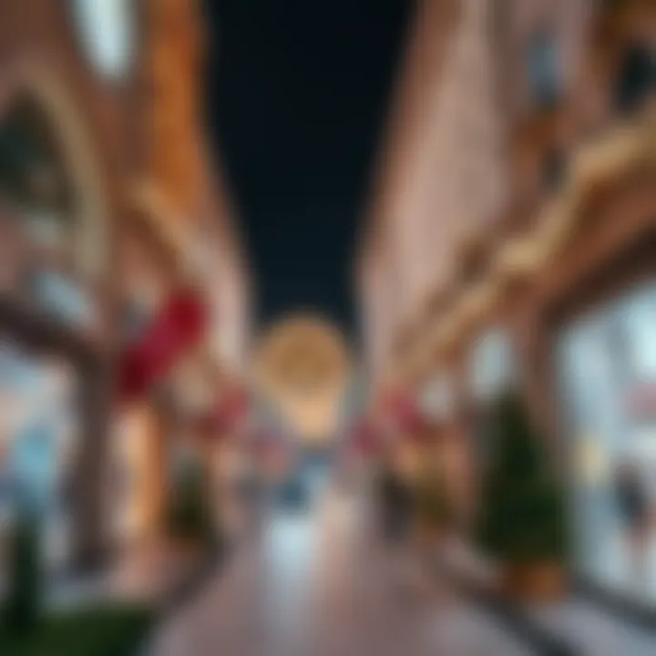 Luxurious shopping district with festive decorations