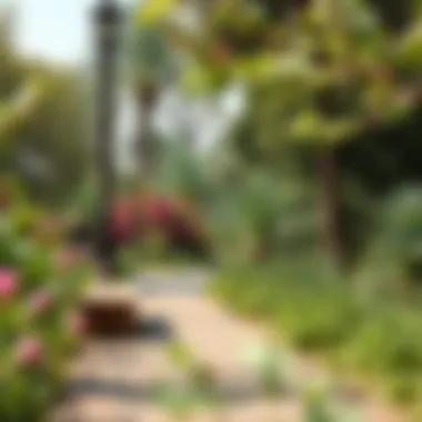 Tranquil Nature Trail in Dubai A tranquil nature trail surrounded by vibrant flora and fauna