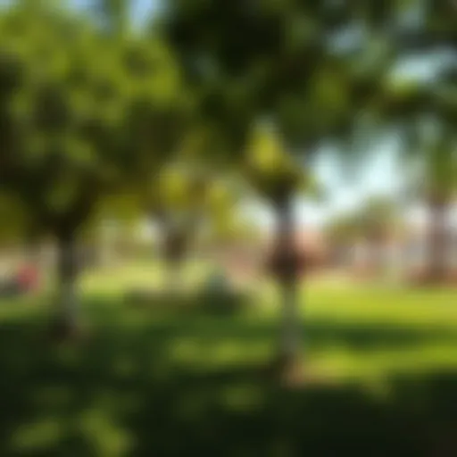 A lush green park in Dubai with families enjoying a sunny day