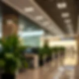 Exploring Low-Cost Business Centers in Dubai Introduction