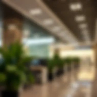 Exploring Low-Cost Business Centers in Dubai Introduction Exploring Low-Cost Business Centers in Dubai Introduction