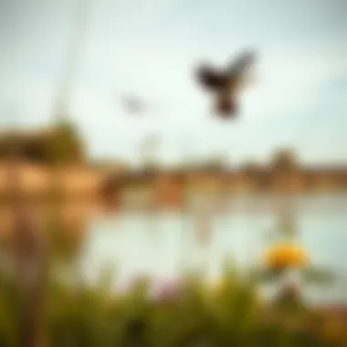 Wildlife Haven at Mubazzarah Lake Birds and wildlife thriving around the shores of Mubazzarah Lake