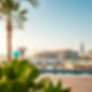 Luxury amenities and lifestyle offerings at Plage Marina