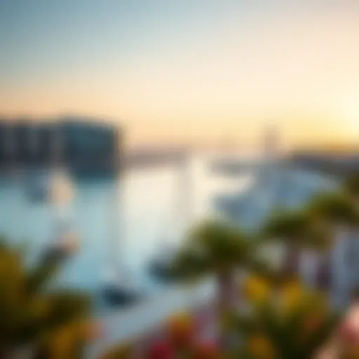 A panoramic view of Plage Marina showcasing its stunning waterfront