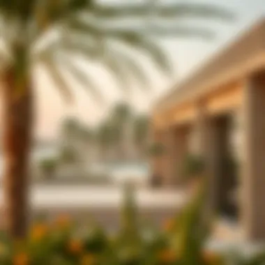 Exploring Ras Al Khor: A Comprehensive Insight into a Unique Ecosystem Summary