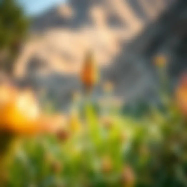 Local flora thriving in the sanctuary's ecosystem