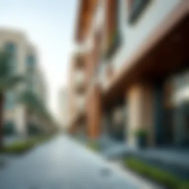 Diverse Property Options in Dubai Diverse properties available in Dubai's real estate market