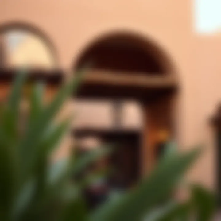 Investment opportunities within Souk Al Marfa