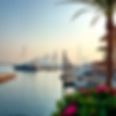 Stunning Waterfront View at كورنيش الممزر Stunning view of the waterfront at كورنيش الممزر