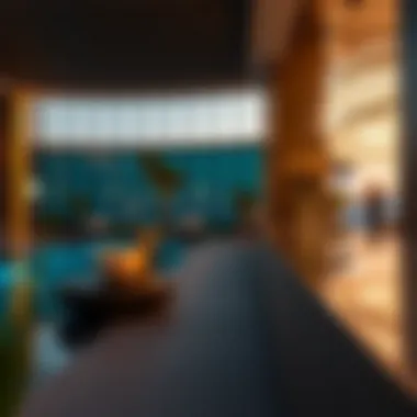 Luxurious amenities offered at Danube Elitz 3, highlighting lifestyle options