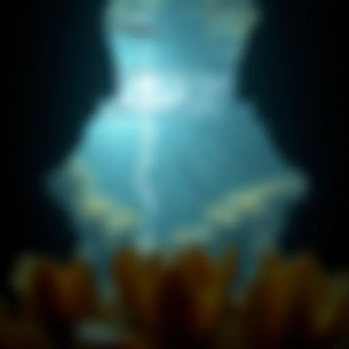 A captivating underwater scene within the Lost Chamber depicting marine life.