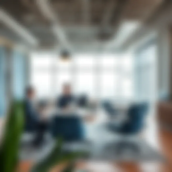 Business meeting in a collaborative workspace in DSO
