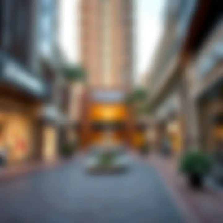 An Upscale Shopping District in a Prime Dubai Community High-End Shopping District