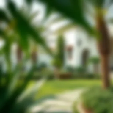Beautiful Garden in Al Qusais Villa Beautiful garden in Al Qusais villa