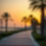 Scenic view of a Dubai promenade at sunset with palm trees