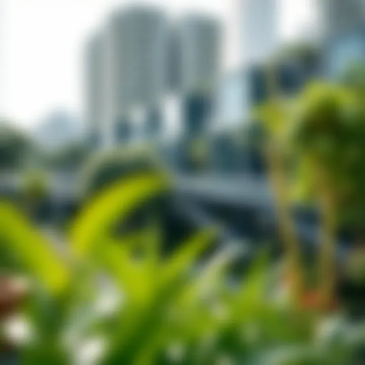 Lush green surroundings of Expo City Mangrove Residences highlighting eco-friendly features