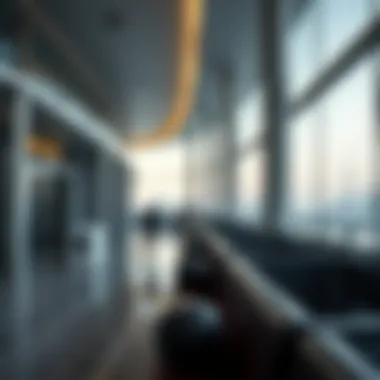 Impact of Dubai overstay penalties on future residency