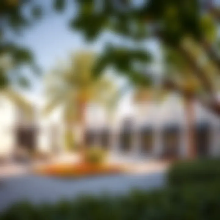 A picturesque view of the surroundings of Liva Town Square