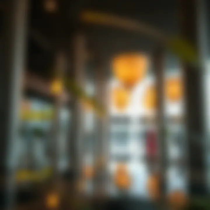 A Warm Welcome Awaits: Arrival Experiences with Marhaba Welcoming atmosphere in Dubai Airport's arrival area