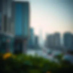 Overview of commercial licensing in Dubai