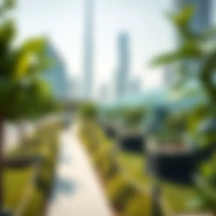 Green technology installations promoting sustainability in Silicon City
