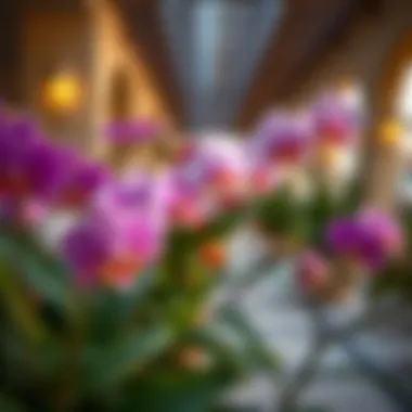 Diverse Orchid Varieties in Real Estate Lush orchid varieties enhancing property landscapes