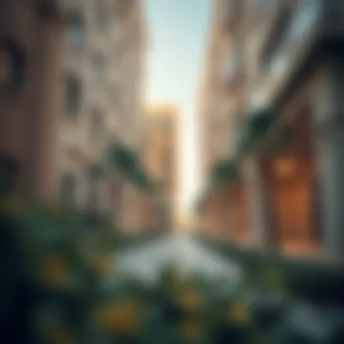 Quality Maintenance in Dubai's Real Estate Overview of a well-maintained commercial property in Dubai