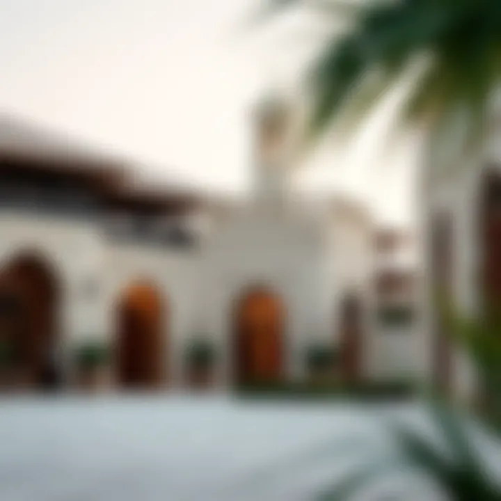 Traditional Aspects of the UAE: A Comprehensive Overview Summary
