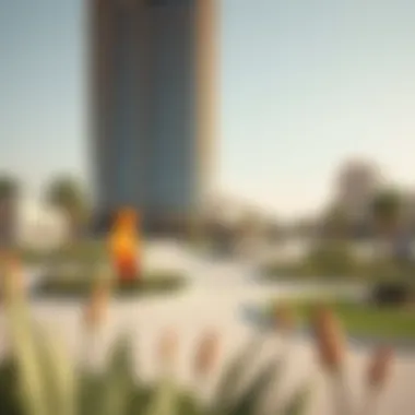 Cultural Landscape Surrounding Curve Building Community spaces and public art near Curve Building in Al Quoz