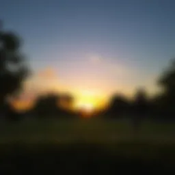 A serene view of Shees Park during sunset