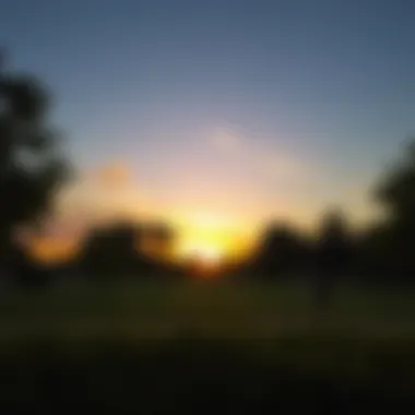 A serene view of Shees Park during sunset