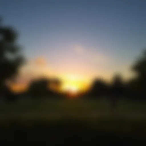 A serene view of Shees Park during sunset