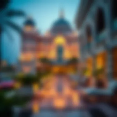 Overview of two-year visa categories in the UAE