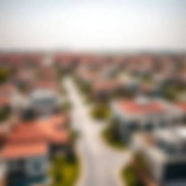 An aerial view of a vibrant Dubai neighborhood featuring various villa styles